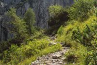 2014-08-02_06FritzPflaum-Steig (156).JPG